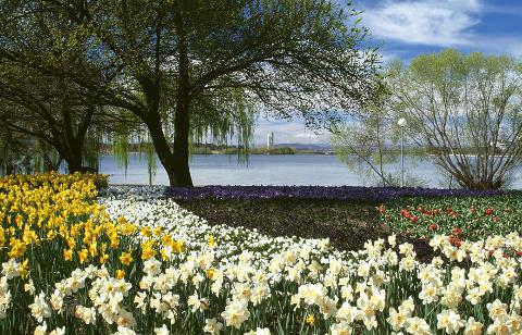 Canberra Day Tour with Floriade